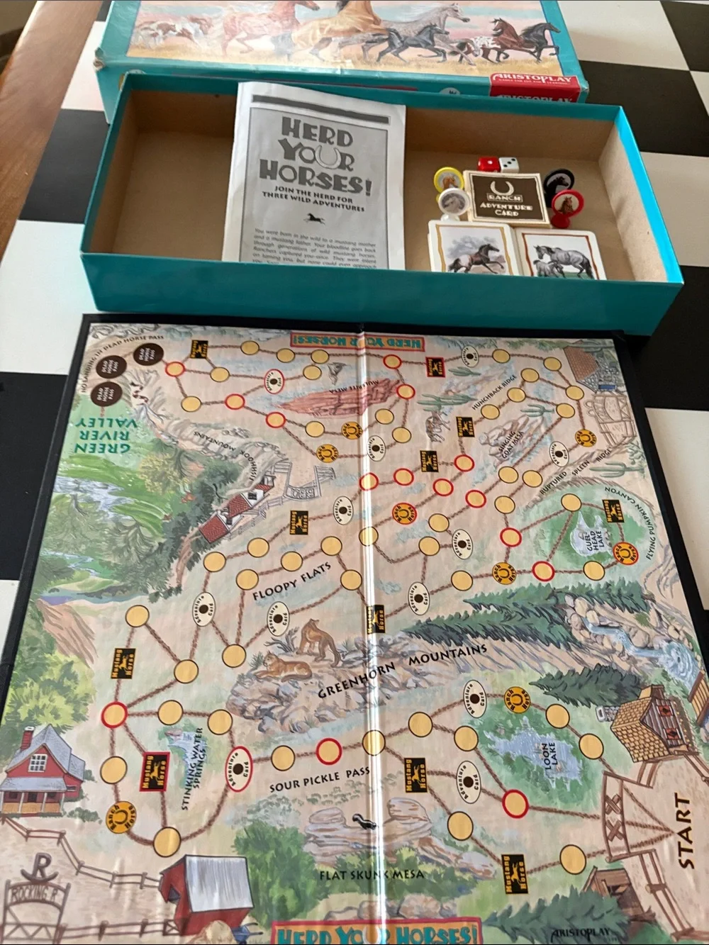 Herd Your Horses! Board Game Box with Teal and Pink Artwork